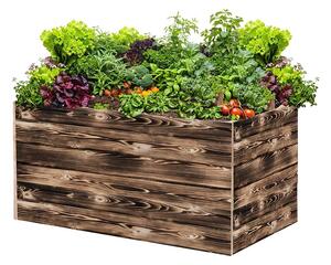 ATMOWOOD Drvena podignuta gredica 120 x 60 x 60 cm - pougljena