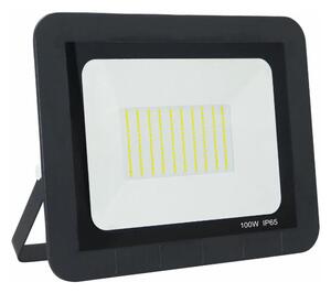 LED Vanjski reflektor LED/100W/230V 6500K IP65