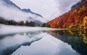 Fotografija Autumn reflections, Ales Krivec, (40 x 24.6 cm)