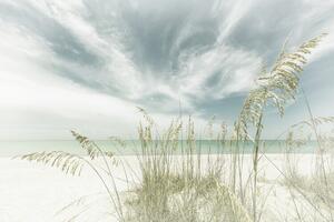 Fotografija Heavenly calmness on the beach | Vintage, Melanie Viola, (40 x 26.7 cm)