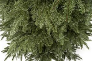 Božićno drvce FULL 3D Kalifornijska Smreka 180cm