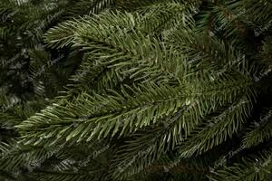 Umjetno božićno drvce 3D Kalifornijska Smreka 180cm