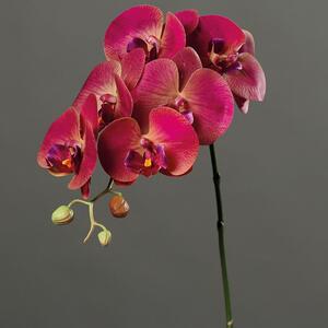 Grana orhideje 78 ružičasta