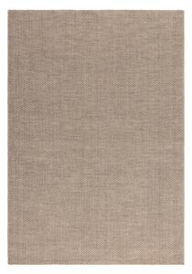 Svjetlo smeđi tepih 160x230 cm Global – Asiatic Carpets