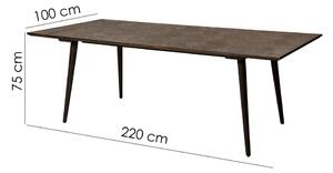 Blagovaonski stol u dekoru brijesta 100x220 cm Diamond - DAN-FORM Denmark