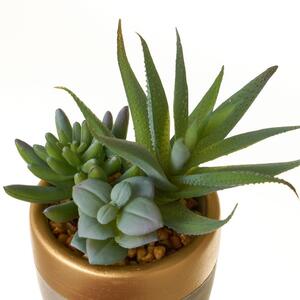 Umjetne biljke u setu 4 kom (visina 17 cm) Cactus – Casa Selección