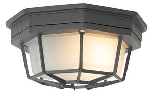 Seoska stropna svjetiljka tamno siva IP44 - Bri S