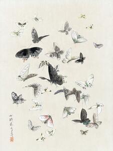 Reprodukcija umjetnosti Butterflies & Moths (1 of 2) - Katsushika Hokusai, (30 x 40 cm)