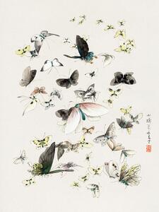 Reprodukcija Butterflies & Moths (2 of 2) - Katsushika Hokusai, (30 x 40 cm)
