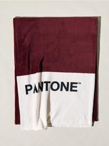Sinsay - Deka Pantone