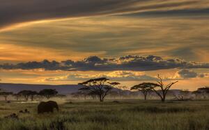 Fotografija Africa, Amnon Eichelberg, (40 x 24.6 cm)