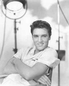Umjetnička fotografija Elvis Presley, (30 x 40 cm)