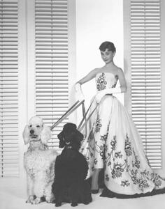 Umjetnička fotografija Audrey Hepburn, (30 x 40 cm)