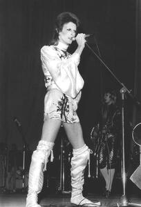 Umjetnička fotografija David Bowie on Stage (Ziggy Stardust Tour) 1973, (26.7 x 40 cm)