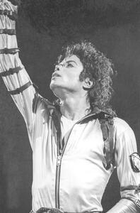 Umjetnička fotografija Michael Jackson on stage in Nice, French Riviera, August 1988, ., (26.7 x 40 cm)