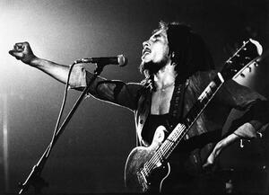 Fotografija Bob Marley, (40 x 30 cm)