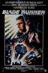 Umjetnička fotografija Blade Runner, (26.7 x 40 cm)