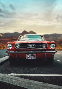 Umjetnička fotografija Mustang Love, Fadil Roze, (26.7 x 40 cm)