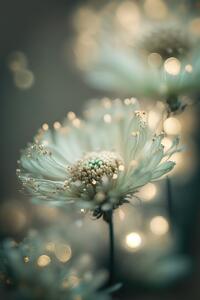 Umjetnička fotografija Mint Flower, Treechild, (26.7 x 40 cm)