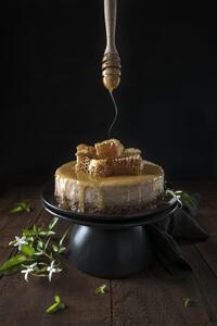 Umjetnička fotografija Baklava cheesecake and honey comb, Diana Popescu, (26.7 x 40 cm)
