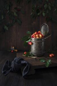Umjetnička fotografija Yellow cherries, Diana Popescu, (26.7 x 40 cm)