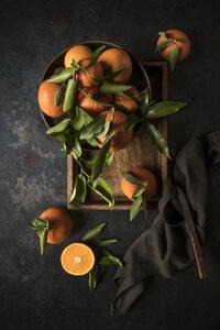 Umjetnička fotografija Oranges, Diana Popescu, (26.7 x 40 cm)