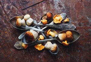Umjetnička fotografija SpoonsaWild mushrooms, Aleksandrova Karina, (40 x 26.7 cm)