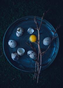 Umjetnička fotografija Eggs, Aleksandrova Karina, (30 x 40 cm)