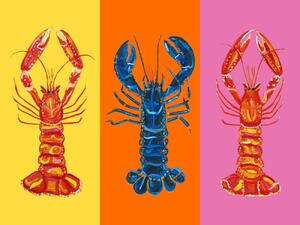 Ilustracija Lobster Langoustines Pop Art 3, Alice Straker, (40 x 30 cm)