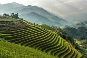 Umjetnička fotografija Rice fields on terraced of Mu, wiratgasem, (40 x 26.7 cm)