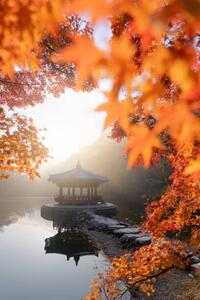 Umjetnička fotografija Beautiful Autumn scene of Naejangsan national, Twenty47studio, (26.7 x 40 cm)