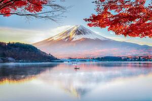 Umjetnička fotografija Fuji Mountain , Red Maple Tree, DoctorEgg, (40 x 26.7 cm)