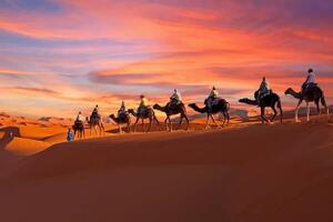 Umjetnička fotografija Camel caravan going through the Sahara, Nisangha, (40 x 26.7 cm)