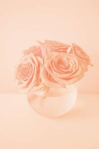 Umjetnička fotografija Roses in the color of 2024 year Peach Fuzz, Anna Blazhuk, (26.7 x 40 cm)