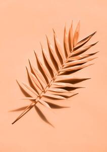 Umjetnička fotografija Palm leaf close up, lenta, (30 x 40 cm)
