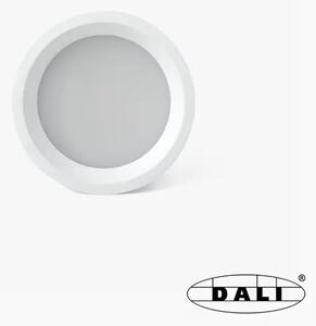 ZIDNA SVJETILJKA KHABA E-14/60W/220V + LED 1W BIJELA FR63190#