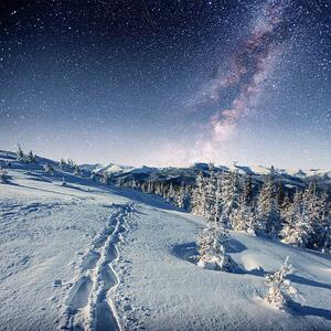 Fotografija starry sky in winter snowy night., standret, (40 x 40 cm)