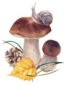 Umjetnička fotografija Porcini mushrooms with autumn leaves, snail, Marina Skryzhova, (40 x 40 cm)