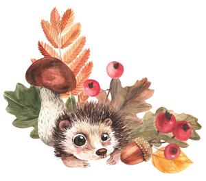 Umjetnička fotografija Corner composition of hedgehog, mushrooms, falling, Tatyana Apt, (40 x 40 cm)