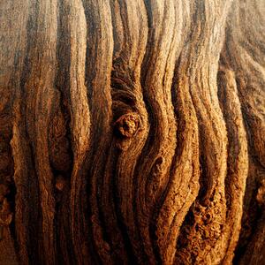 Umjetnička fotografija Image Of Tree Bark Texture, Nenov, (40 x 40 cm)