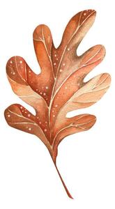Umjetnička fotografija A beautiful autumn watercolor oak leaf, Lidiia Biktimirova, (40 x 40 cm)