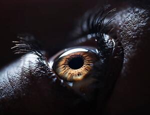 Umjetnička fotografija The Human Eye., Ben Welsh, (40 x 30 cm)