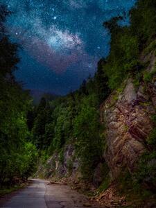 Umjetnička fotografija Trees by road against sky at night,Romania, Daniel Ion / 500px, (30 x 40 cm)