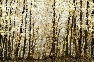 Ilustracija Forest filed with golden autumn leaves, Andrew Bret Wallis
