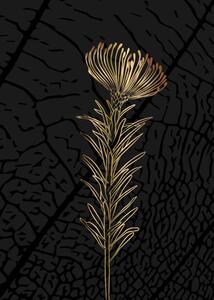 Ilustracija Minimalist botanical illustration. Golden outline of, Elena Makarova, (30 x 40 cm)