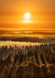 Umjetnička fotografija Golden beautiful foggy forest sunbeams, Aulanko,, Milamai, (30 x 40 cm)