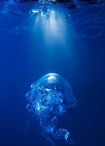 Fotografija Bubble on spot light in blue water, Biwa Studio