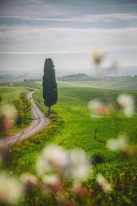 Umjetnička fotografija Tuscany landscape view of green hills, serts, (26.7 x 40 cm)