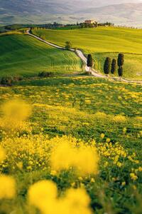 Fotografija Tuscany, springtime in the afternoon. Path,, Francesco Riccardo Iacomino, (26.7 x 40 cm)