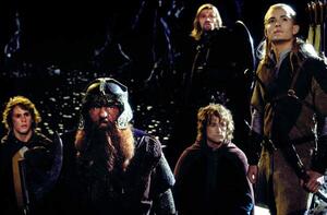 Umjetnička fotografija The Fellowship of the Ring, (40 x 26.7 cm)